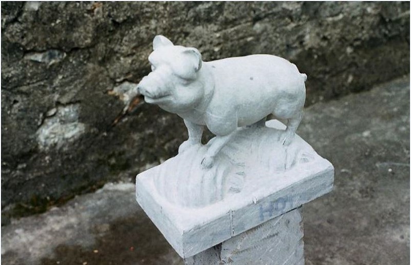 Lợn biểu tượng cho sự sung sướng nhàn hạ